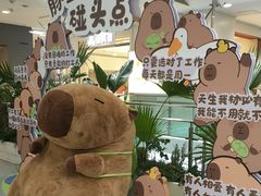 -凯德MALL(西直门店)