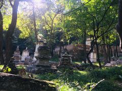 -北京上方山国家森林公园