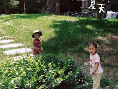 -东郊湿地公园