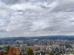 -长虫山生态公园风景林