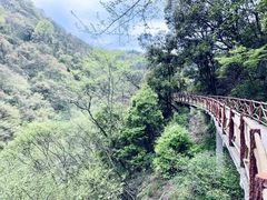 -岳西天峡风景区