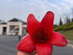 -广州市白云山风景名胜区