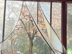 -鸡鸣汤包(红山动物园店)