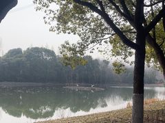 -昆山城市生态森林公园