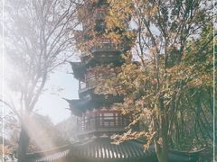 -上海佘山国家森林公园西佘山园