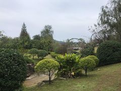 -铁山坪森林公园