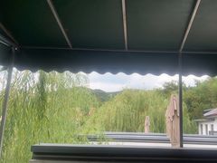 -清雅臻品·竹林院落·新派青岛菜(崂山店)