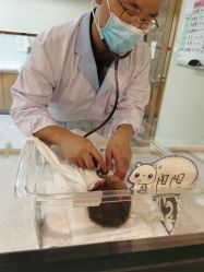 -爱贝蕊恩韩式月子会所(宝安店)