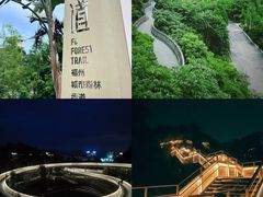 -福道