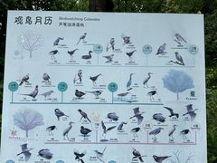 -同里国家湿地公园