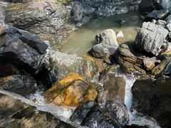 -石台牯牛降景区