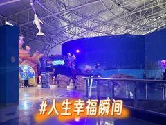 -烟台海昌鲸鲨海洋公园