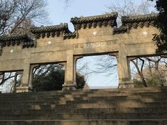 -灵谷景区