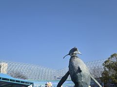 -海合安武汉极地海洋公园