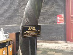 -关林