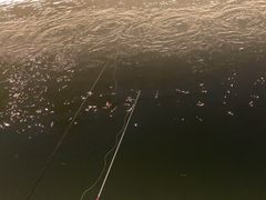 -DGE季风钓虾营地·团建·聚会