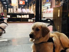 -33韩式自助烧烤(环城南路店)