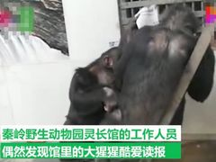 -西安秦岭野生动物园