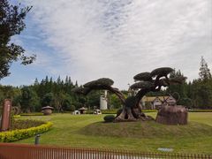 -东平国家森林公园