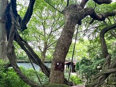 -绮园景区