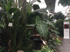 -汤山翠谷生态餐厅
