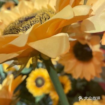 「杜威中心Dewey Center」  这个展最值得