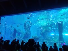 -波塞冬海底世界