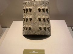 -嘉定博物馆