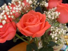 -土豆口腔(凤凰北总店)