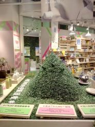 -悦诗风吟innisfree