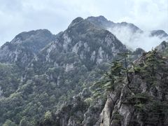 -王顺山国家森林公园