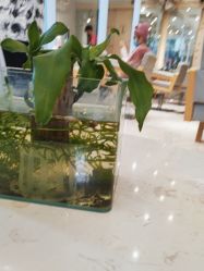 -菲·木田moontin造型salon