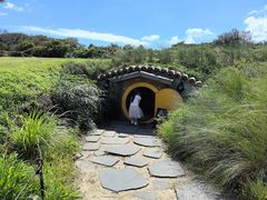 -济州森林小火车生态公园