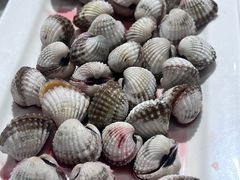 -华盛丰温州大排档(东三环南路店)