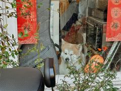 -餐酒吧Com-ing Bar(上海路店)