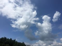 -梁野山景区