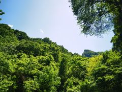 -陕西省红河谷森林公园