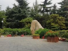 -西苑公园