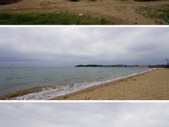 -仙人岛