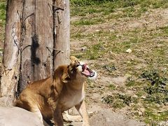 -宁波野生动物园