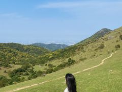 -大姆山草场