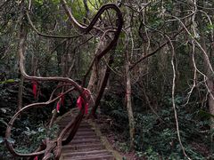 -七仙岭温泉国家森林公园