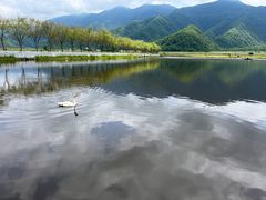 -大九湖