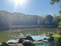 -白马涧龙池景区