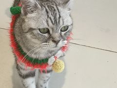 -怪兽屋·羊驼·猫咖·狗咖(俊华广场店)