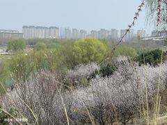 -河北省园博园