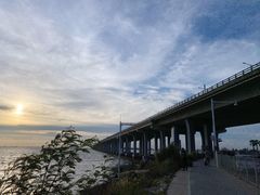 -宝安西湾红树林湿地公园