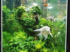 -The Dishes Seafood & Restaurant