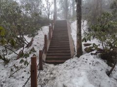 -瓦屋山景区