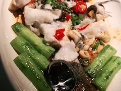 -老伙记海鲜码头(北滘店)